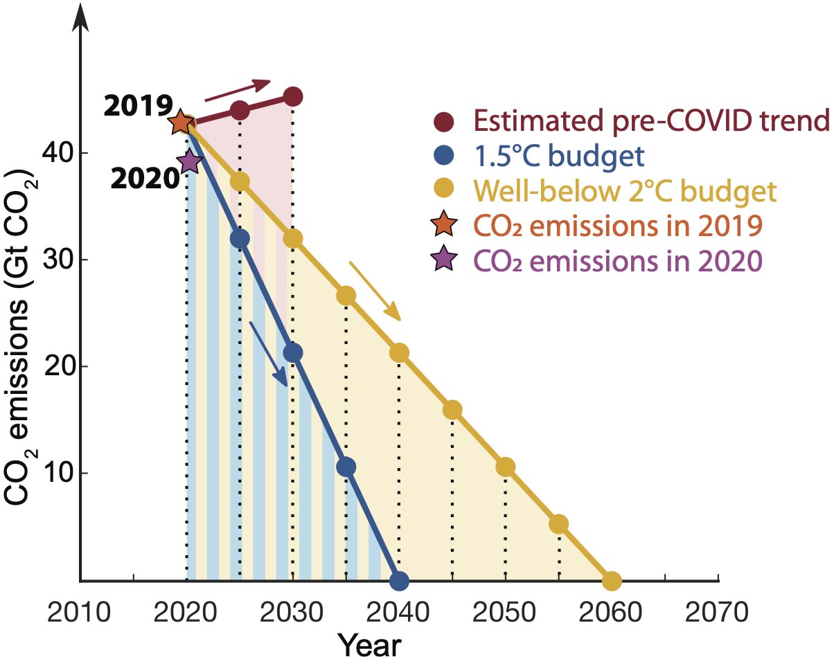 Emissioni globali di carbonio da CO2 (x3,6) e stima 2013 (fonte